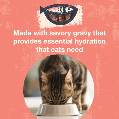 Koha Poke Bowl Wet Cat Food - Tuna & Salmon - 3oz Pouch