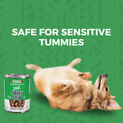 Koha Minimal Ingredient Stews Wet Dog Food - Turkey - 12.7oz Can