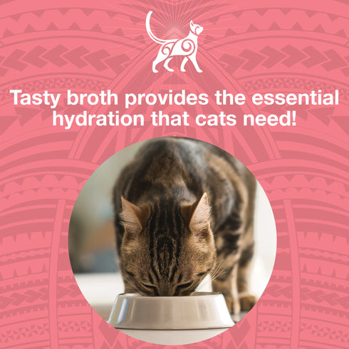 Koha Pure Shreds Wet Cat Food - Shredded Chicken & Salmon - 2.8oz Can