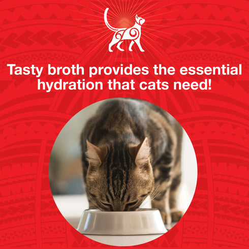 Koha Grain Free Pure Shreds Wet Cat Food - Shredded Beef - 5.5oz Can