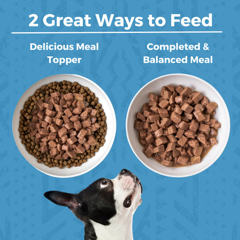 Koha Minimal Ingredient Stews Wet Dog Food - Lamb - 12.7oz Can