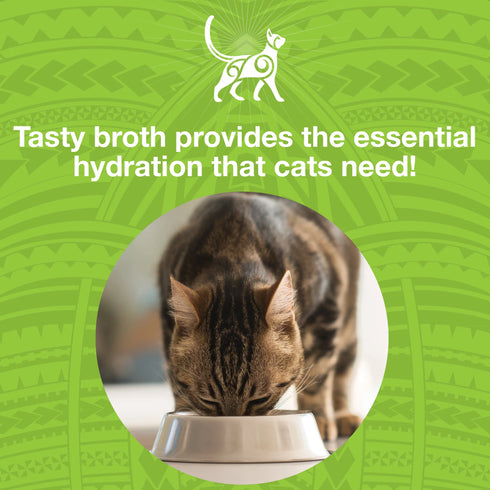 Koha Pure Shreds Wet Cat Food - Chicken & Duck - 5.5oz Can