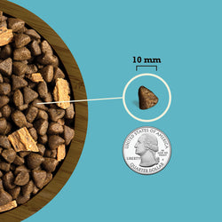 Acana Butcher's Favorites Dry Dog Food - Wild-Caught Salmon - 17lb Bag