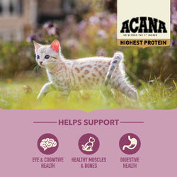 Acana Highest Protein Kitten Dry Cat Food - Chicken, Turkey, & Salmon - 4lb Bag