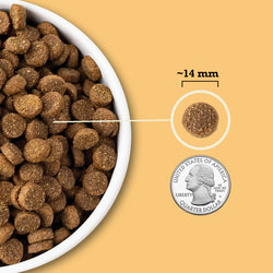 Acana Wholesome Grains Dry Dog Food - Free Run Poultry - 22lb Bag