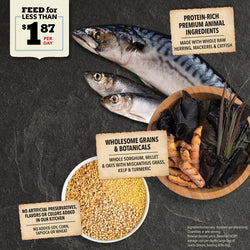 Acana Wholesome Grains Sea to Stream Dry Dog Food - Herring, Mackerel, & Catfish - 4lb Bag