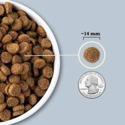 Acana Wholesome Grains Sea to Stream Dry Dog Food - Herring, Mackerel, & Catfish - 4lb Bag