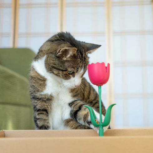Giddy Kitty Purrsuits Springy Flower Cat Toy - Playful Poppy Pink