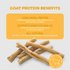 DogNip Goat Skin Dog Treats - 10 Pack