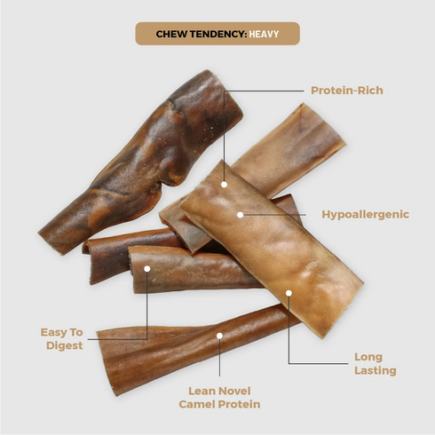 DogNip Camel Skin Dog Treats - 10 Pack