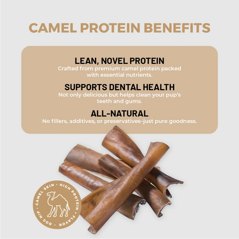 DogNip Camel Skin Dog Treats - 10 Pack