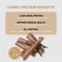 DogNip Camel Skin Dog Treats - 10 Pack