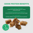 DogNip Geese Cubes Dog Treats - 5.29oz Pouch