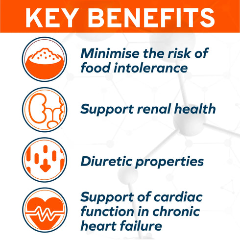 Forza10 Renal Kidney Support Dry Dog Food - 8.8lb Bag