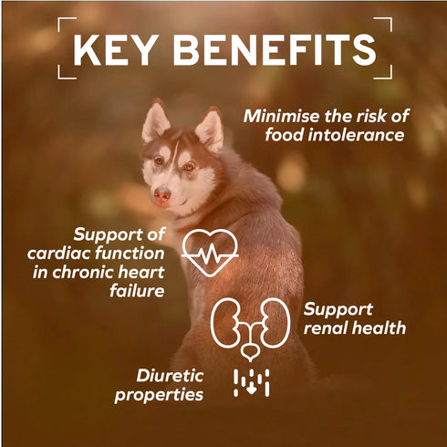 Forza10 Renal Kidney Support Dry Dog Food - 8.8lb Bag