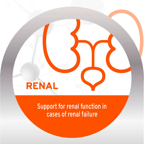 Forza10 Renal Kidney Support Dry Cat Food - Fish - 3.3lb Bag