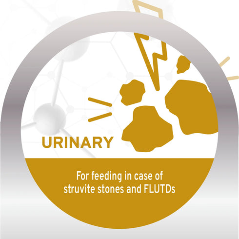 Forza10 Urinary UTI Support Dry Cat Food - Fish - 3.3lb Bag