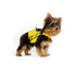 EZYDOG DFD X2 Boost Dog Life Jacket - X-Small 15-25lbs - Yellow