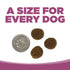 NutriSource Element Series Dry Dog Food - Wild Range - 24lb Bag