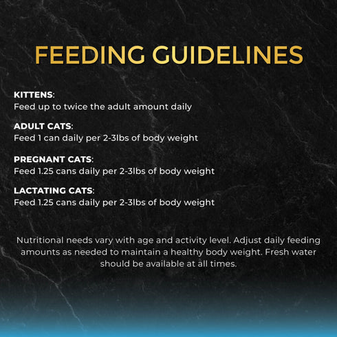 Fussie Cat Black Label Wet Cat Food - Tuna & Small Anchovies in Gravy - 2.82oz Can