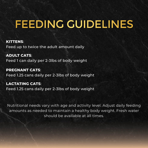Fussie Cat Black Label Wet Cat Food - Tuna & Prawn in Gravy - 2.82oz Can