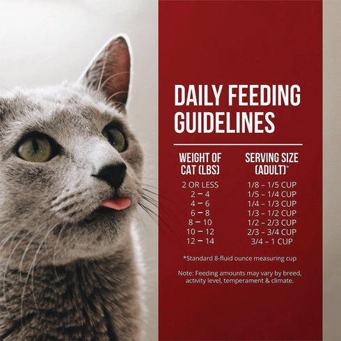 Fussie Cat Market Fresh Dry Cat Food - Chicken & Turkey - 3.5lb Bag