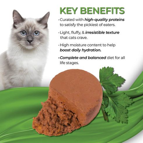 Fussie Cat Fine Dining Mousse Wet Cat Food - Chicken With Pumpkin In Gravy - 2.47oz Can