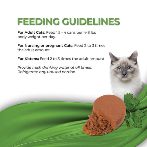 Fussie Cat Fine Dining Mousse Wet Cat Food - Chicken With Pumpkin In Gravy - 2.47oz Can