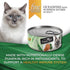 Fussie Cat Fine Dining Mousse Wet Cat Food - Ocean Fish With Pumpkin In Gravy -2.47oz Can