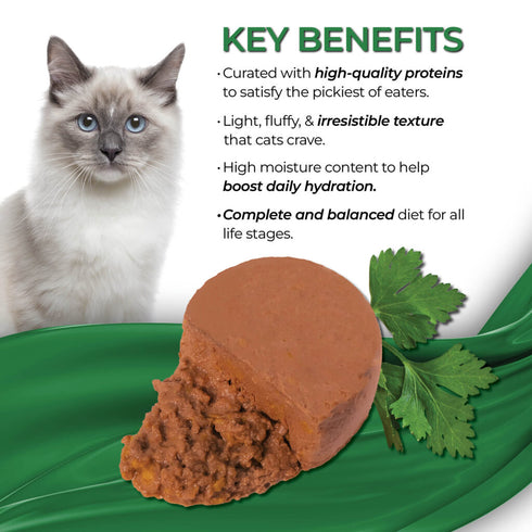 Fussie Cat Fine Dining Mousse Wet Cat Food - Ocean Fish With Pumpkin In Gravy -2.47oz Can