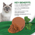 Fussie Cat Fine Dining Mousse Wet Cat Food - Ocean Fish With Pumpkin In Gravy -2.47oz Can