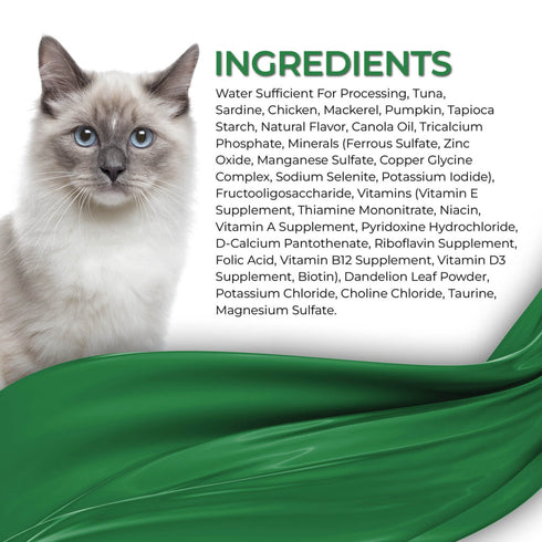 Fussie Cat Fine Dining Mousse Wet Cat Food - Ocean Fish With Pumpkin In Gravy -2.47oz Can