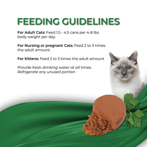 Fussie Cat Fine Dining Mousse Wet Cat Food - Ocean Fish With Pumpkin In Gravy -2.47oz Can