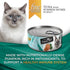 Fussie Cat Fine Dining Mousse Wet Cat Food - Tuna With Pumpkin In Gravy - 2.47oz Can