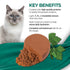 Fussie Cat Fine Dining Mousse Wet Cat Food - Tuna With Pumpkin In Gravy - 2.47oz Can