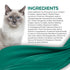 Fussie Cat Fine Dining Mousse Wet Cat Food - Tuna With Pumpkin In Gravy - 2.47oz Can