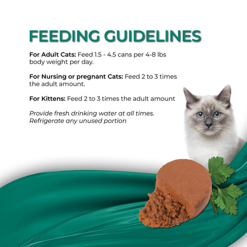 Fussie Cat Fine Dining Mousse Wet Cat Food - Tuna With Pumpkin In Gravy - 2.47oz Can