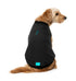FuzzYard Bomber Dog Jacket - Size 1 - Black