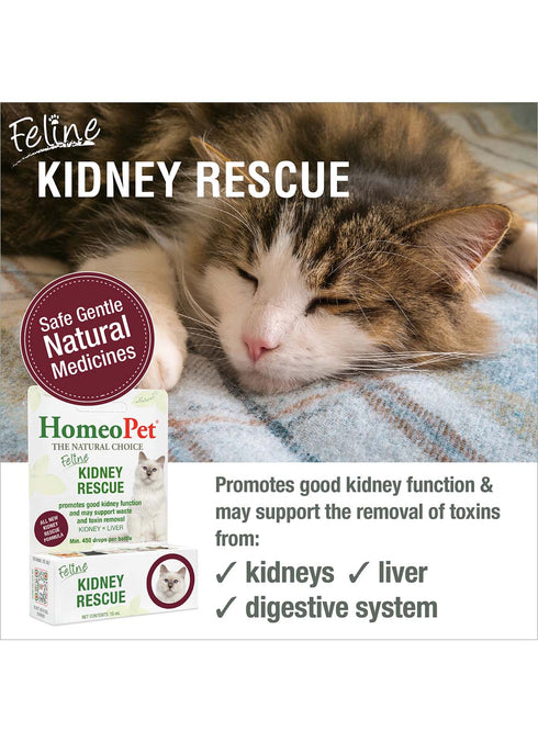 HomeoPet Feline Kidney Rescue Natural Kidney Support For Cats - 15ml Bottle
