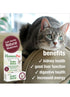 HomeoPet Feline Kidney Rescue Natural Kidney Support For Cats - 15ml Bottle