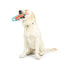 Huxley & Kent Fetchies Travis Trout Dog Toy - Large