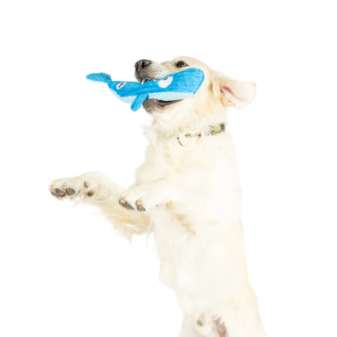 Huxley & Kent Fetchies Wilma Whale Dog Toy - Small