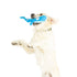 Huxley & Kent Fetchies Wilma Whale Dog Toy - Small