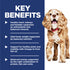 Hill's Science Diet Adult 11+ Small & Mini Dry Dog Food - Chicken & Brown Rice - 4.5lb Bag