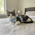 BayCat Adventure Cat Harness - Medium - Blue