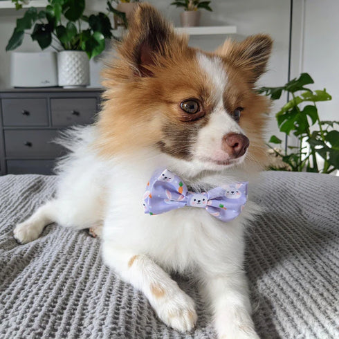 Huxley & Kent Pet Bow Tie - Large - Funny Bunny