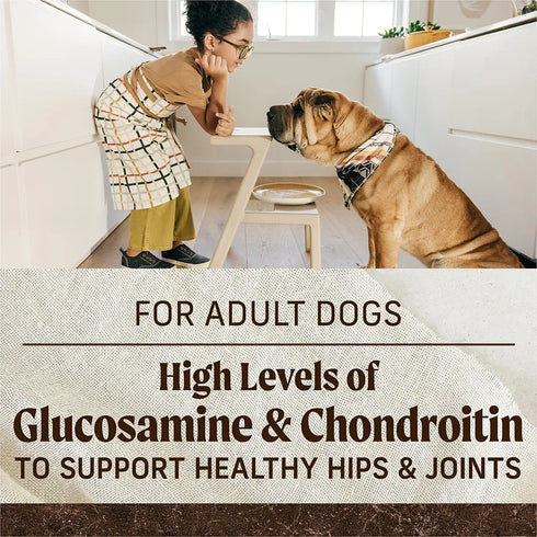 Merrick Grain Free Dry Dog Food - Real Bison, Beef, & Sweet Potato - 10lb Bag