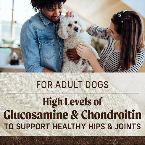 Merrick Grain Free Dry Dog Food - Real Lamb & Sweet Potato - 22lb Bag