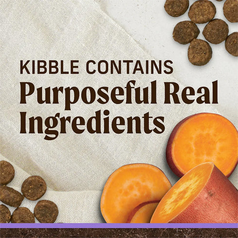 Merrick Grain Free Puppy Dry Dog Food - Real Chicken & Sweet Potato - 22lb Bag