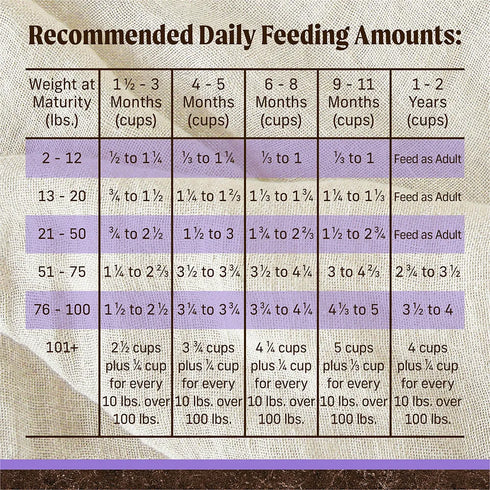 Merrick Grain Free Puppy Dry Dog Food - Real Chicken & Sweet Potato - 22lb Bag